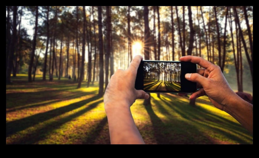 التقط صورًا مثالية: تم الكشف عن نصائح التصوير الفوتوغرافي الأساسية