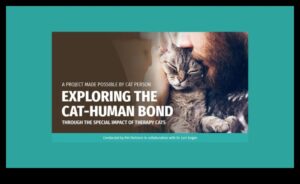 شركاء Purr-fect: استكشاف الروابط بين الإنسان والقطط عبر التاريخ