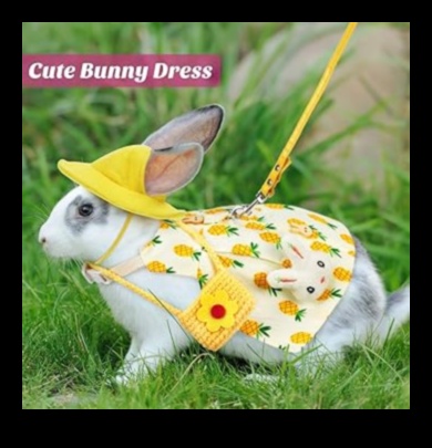 تابع Bunny Bling: توسيع مجموعة إكسسوارات أرنبك