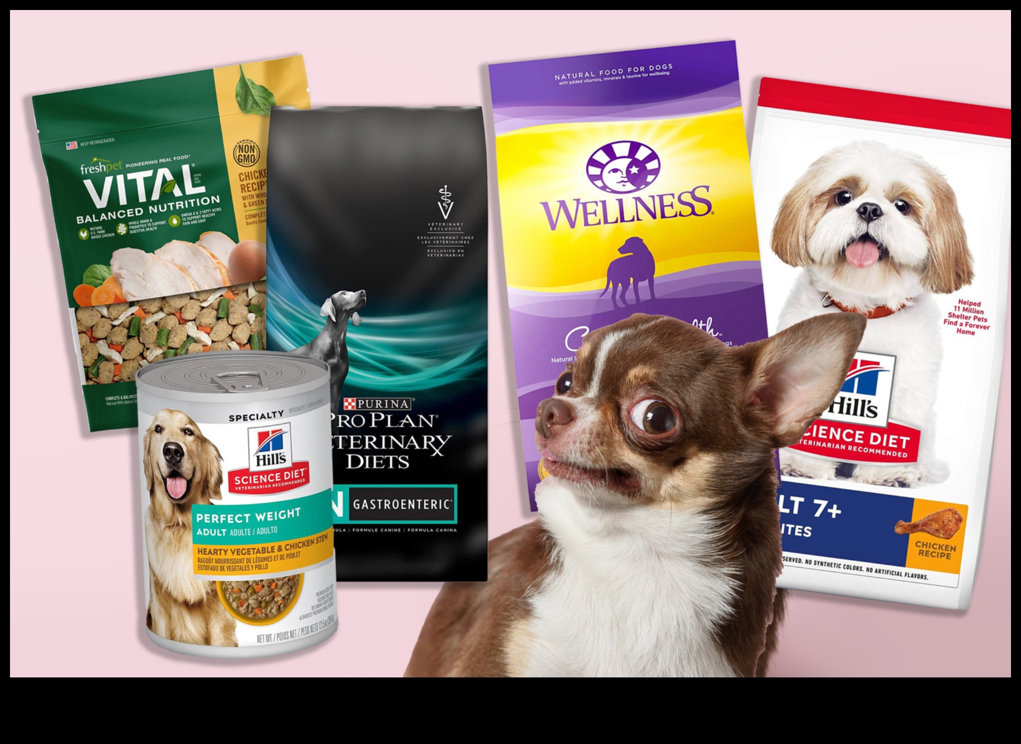 نقد مطبخ الكلاب: مراجعة أحدث اتجاهات طعام الكلاب