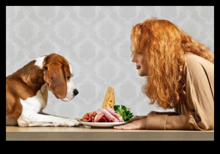 نقد مطبخ الكلاب: مراجعة أحدث اتجاهات طعام الكلاب