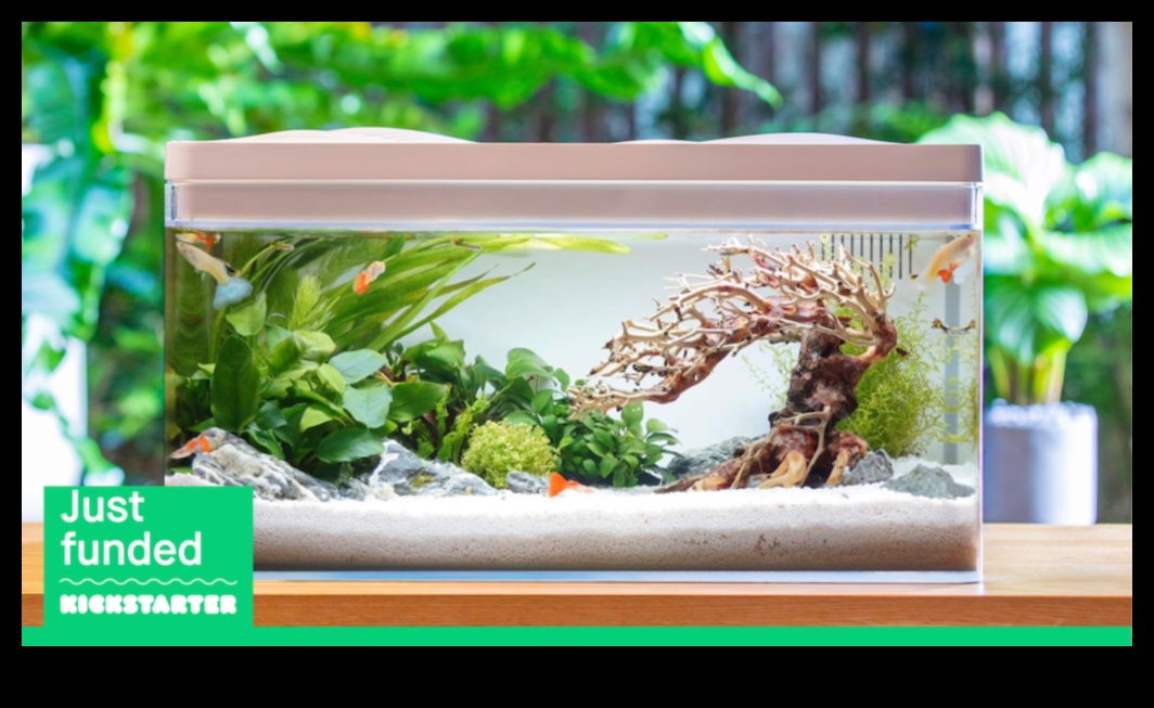 تابع حوض السمك Zen: موازنة العناصر المائية لتحقيق الانسجام