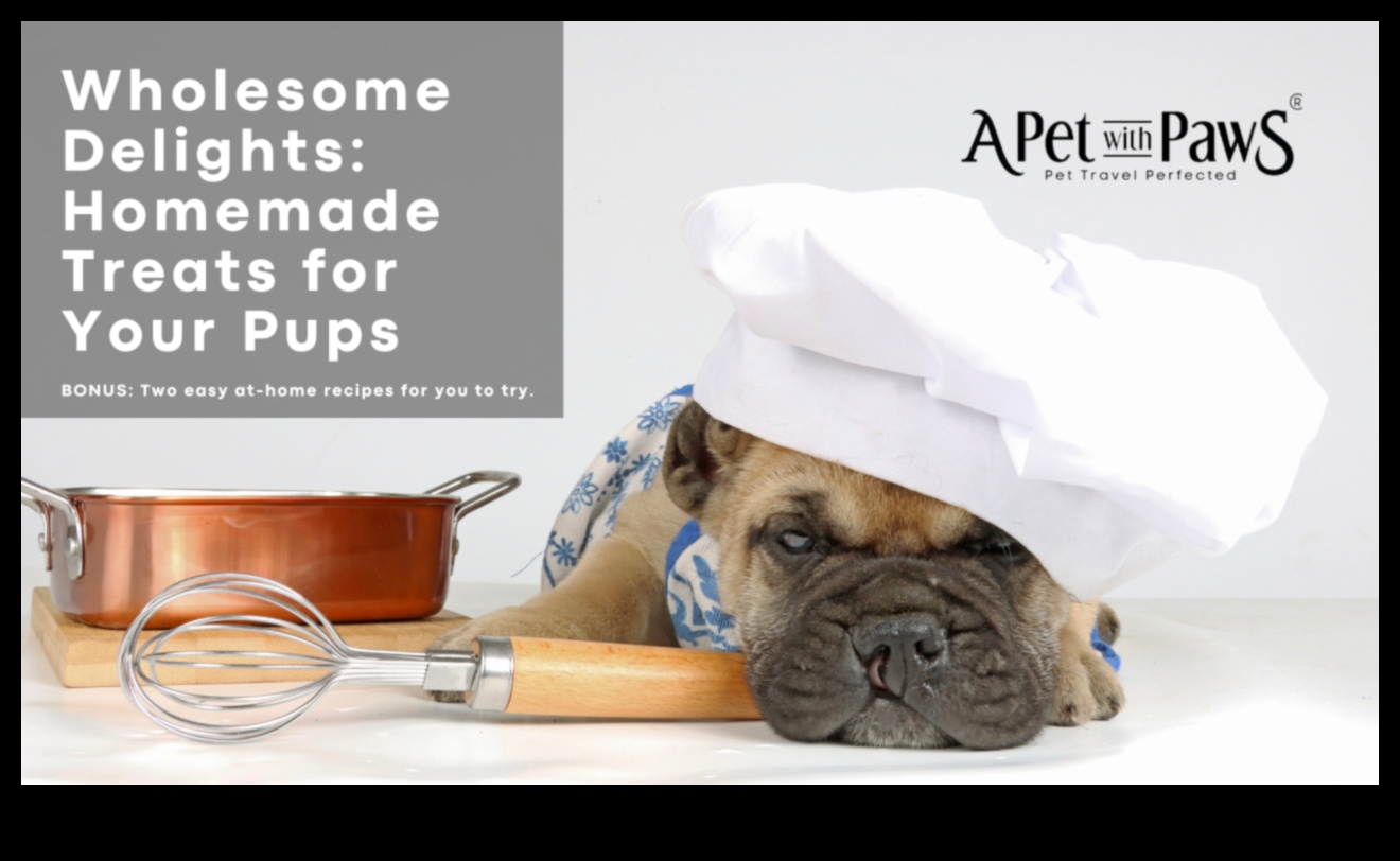 المسرات الكلبية: وصفات علاج محلية الصنع سيحبها الجرو الخاص بك