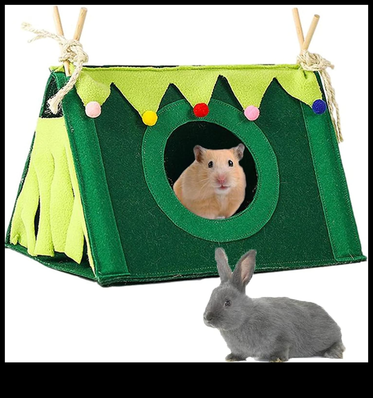 مخبأ الهامستر: بناء ملاذ مريح لحيوانك الأليف