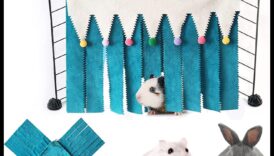 مخبأ الهامستر: بناء ملاذ مريح لحيوانك الأليف