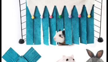 مخبأ الهامستر: بناء ملاذ مريح لحيوانك الأليف