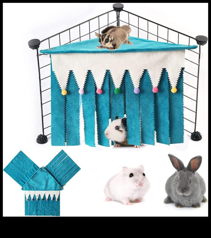 مخبأ الهامستر: بناء ملاذ مريح لحيوانك الأليف