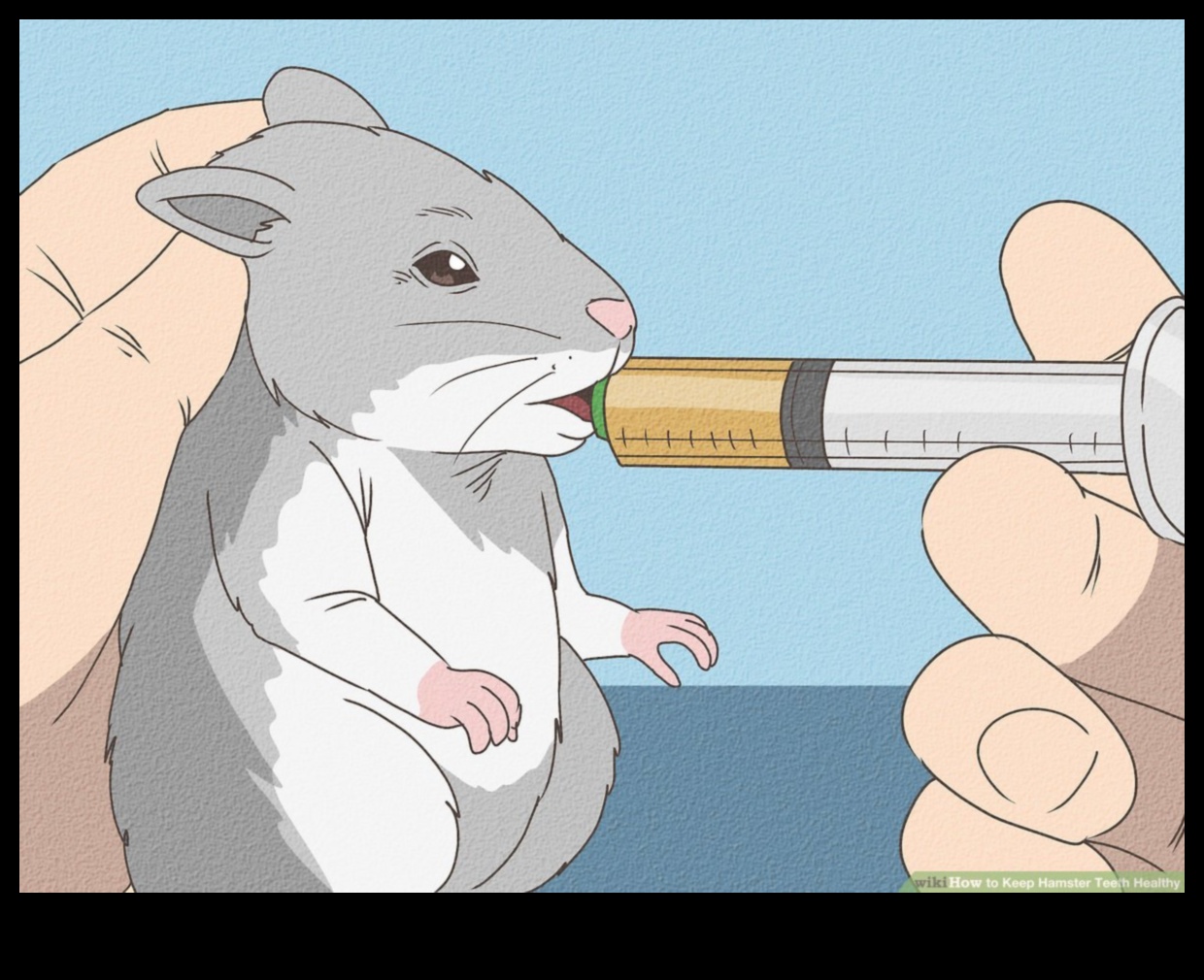 صحة أسنان الهامستر: منع مشاكل الأسنان الشائعة