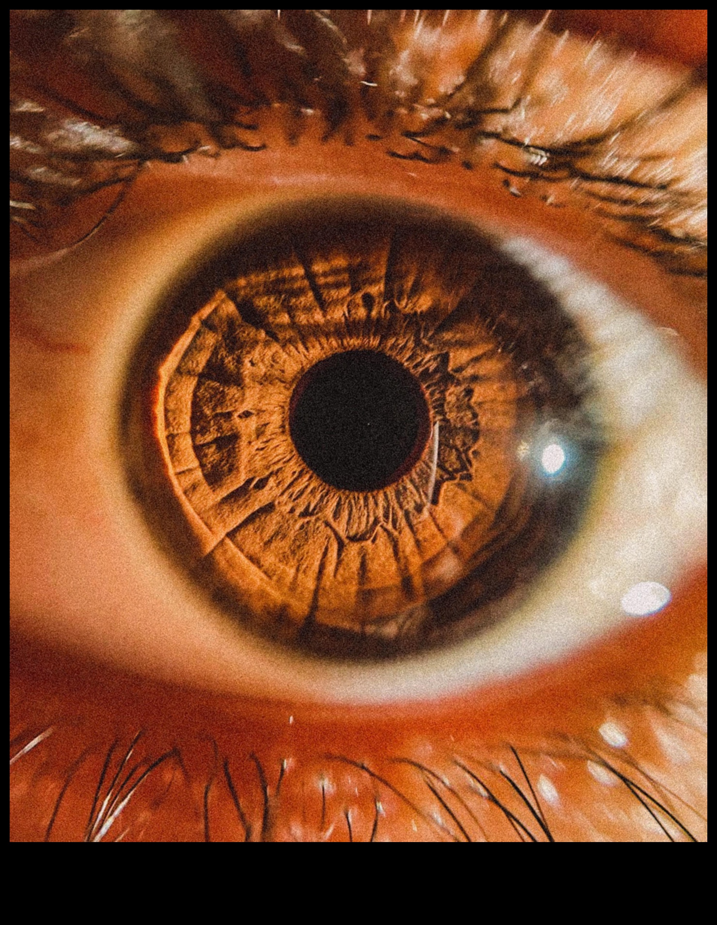 فن الأشياء الصغيرة: تفاصيل تصوير الماكرو الجذابة