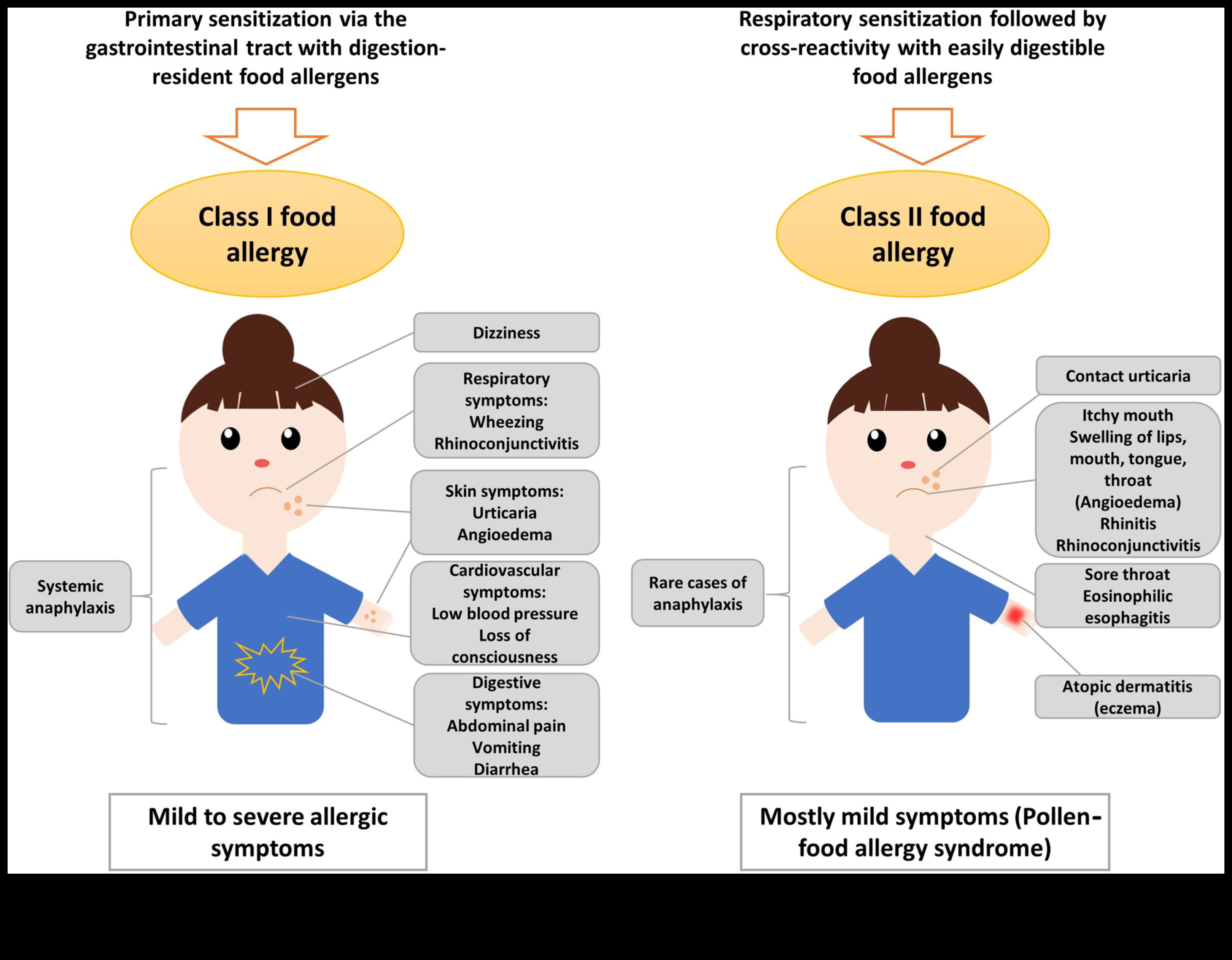 العلاقة بين البروتين والحساسية الموسمية