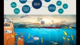 علم المحيطات 101: استكشاف البحار من خلال تنوع الأسماك