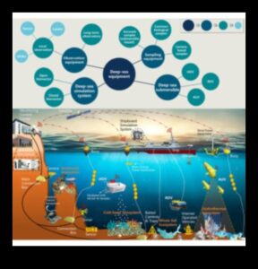علم المحيطات 101: استكشاف البحار من خلال تنوع الأسماك
