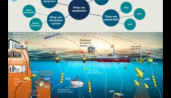 علم المحيطات 101: استكشاف البحار من خلال تنوع الأسماك