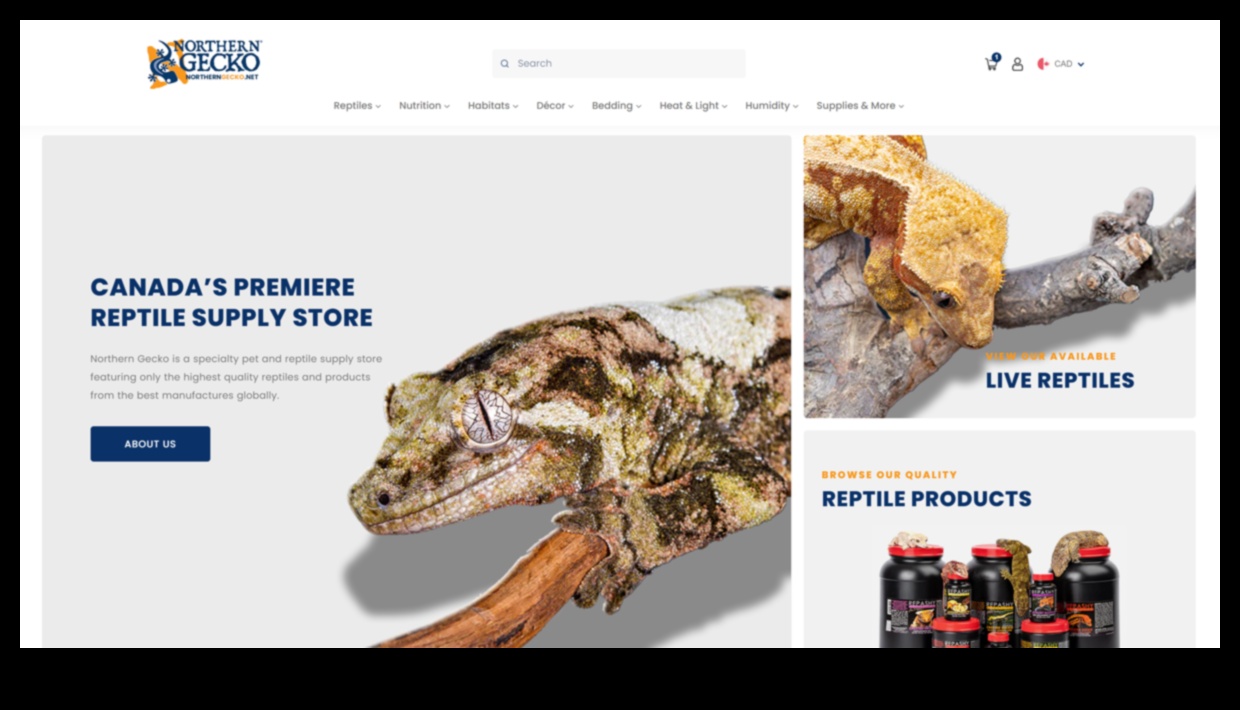 إعادة إحياء عداءات الزواحف: تقديم إكسسوارات عصرية جديدة لرفاق سكالي