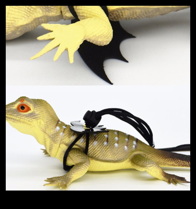 إعادة إحياء عداءات الزواحف: تقديم إكسسوارات عصرية جديدة لرفاق سكايلي