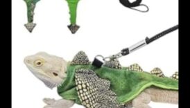 إعادة إحياء عداءات الزواحف: تقديم إكسسوارات عصرية جديدة لرفاق سكالي