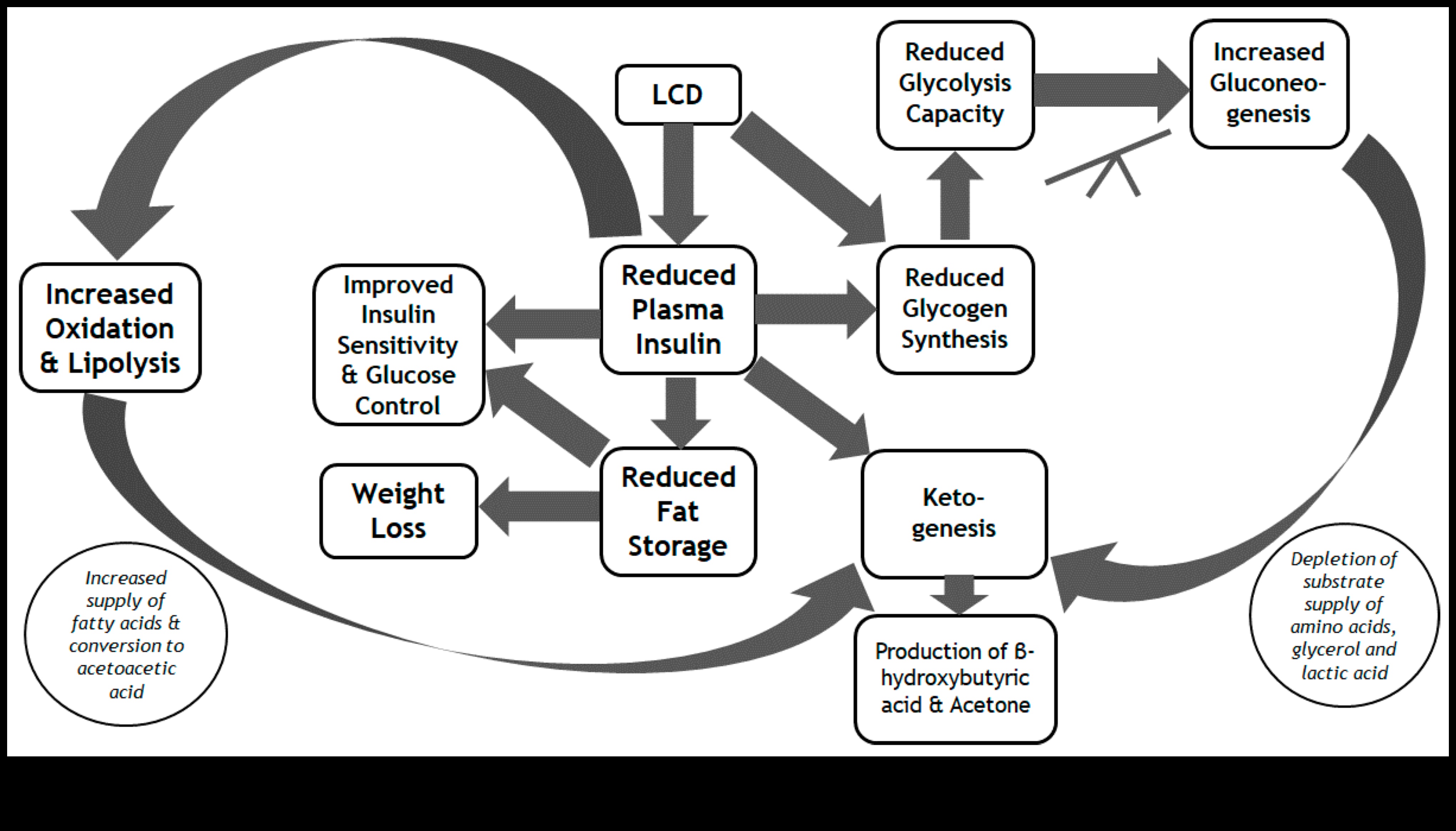 الأنظمة الغذائية قصيرة المدى واختلالات المغذيات: ما الذي يجب الانتباه إليه