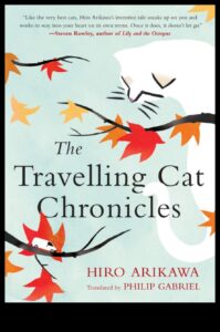 سجلات القط: التنقل في مراحل مختلفة من حياة القط