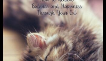 بدلة السعادة: ضمان رفاهية قطتك