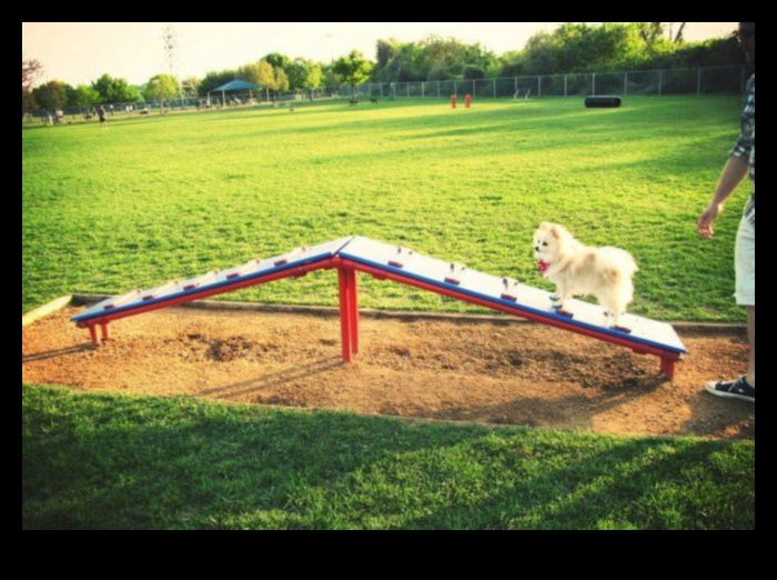 ملعب الجرو: بناء فناء خلفي آمن ومحفز