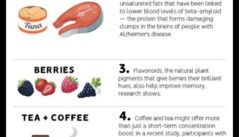 الأنظمة الغذائية الغنية بالبروتين والوضوح العقلي: منظور شمولي