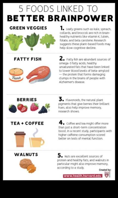 الأنظمة الغذائية الغنية بالبروتين والوضوح العقلي: منظور شمولي