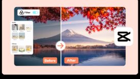 تحرير الأناقة: تحويل اللقطات العادية إلى أعمال غير عادية