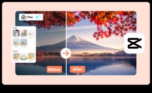 تحرير الأناقة: تحويل اللقطات العادية إلى أعمال غير عادية