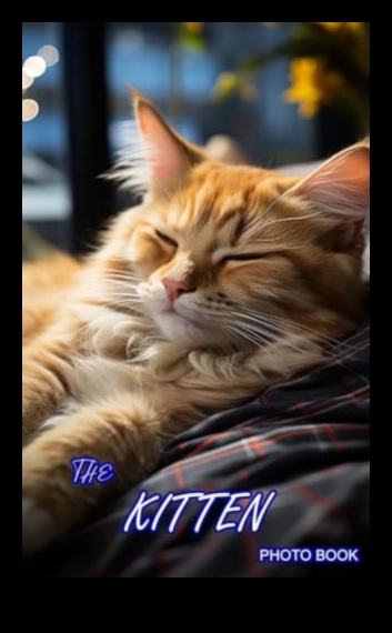 لقطة الصفاء: لحظات هادئة في لقطات السفر