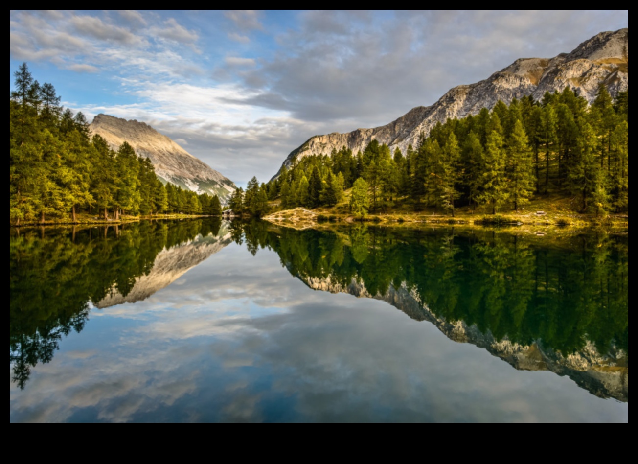 لقطة الصفاء: لحظات هادئة في لقطات السفر