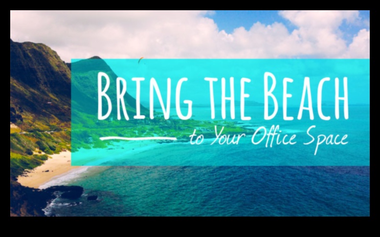 ديكور مكتب ساحلي لمساحة إنتاجية
