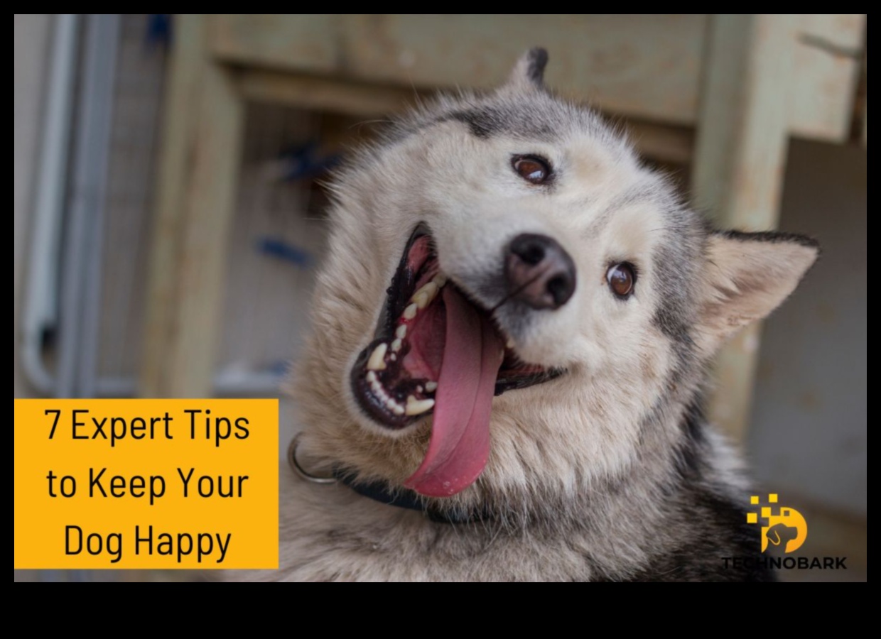 مرحة بشكل مخيف: إشراك أنشطة الحيوانات الأليفة من أجل ذيول سعيدة