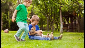 مرحة بشكل مخيف: إشراك أنشطة الحيوانات الأليفة من أجل ذيول سعيدة