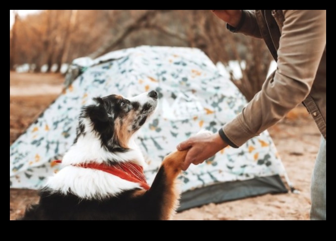 التخييم الكلاب: مغامرات في الهواء الطلق للكلاب وأصحابها