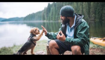 التخييم الكلاب: مغامرات في الهواء الطلق للكلاب وأصحابها