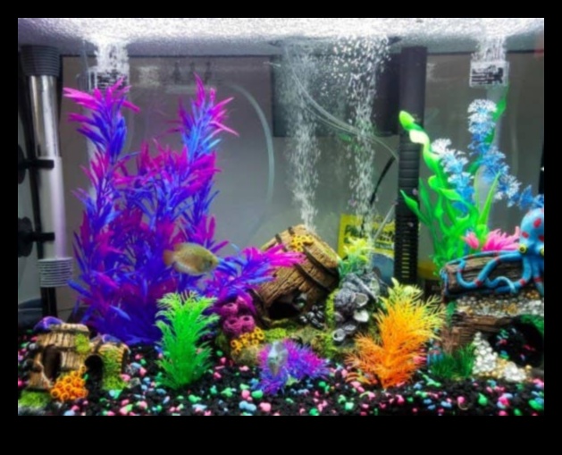 تابع روعة إكسسوارات أحواض السمك: إضافة الأناقة والأناقة إلى حوض السمك الخاص بك