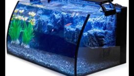 تابع روعة إكسسوارات أحواض السمك: إضافة الأناقة والأناقة إلى حوض السمك الخاص بك