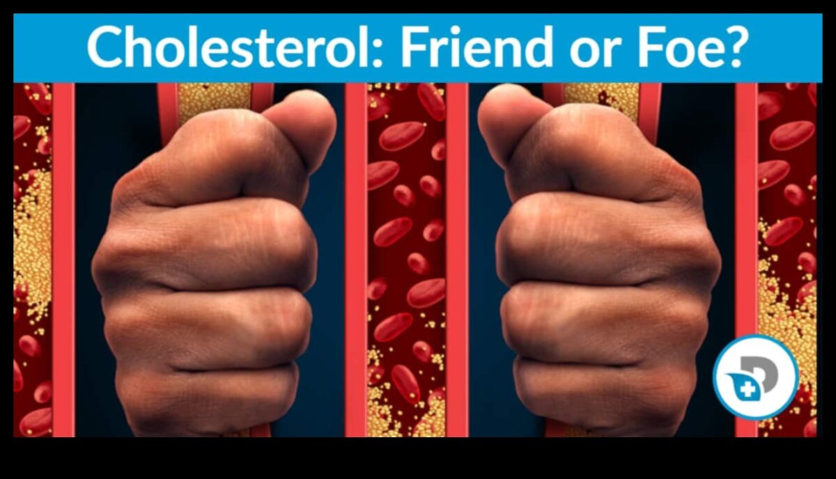 تأثير الأنظمة الغذائية منخفضة الكربوهيدرات على مستويات الكوليسترول