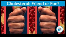 تأثير الأنظمة الغذائية منخفضة الكربوهيدرات على مستويات الكوليسترول