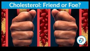 تأثير الأنظمة الغذائية منخفضة الكربوهيدرات على مستويات الكوليسترول