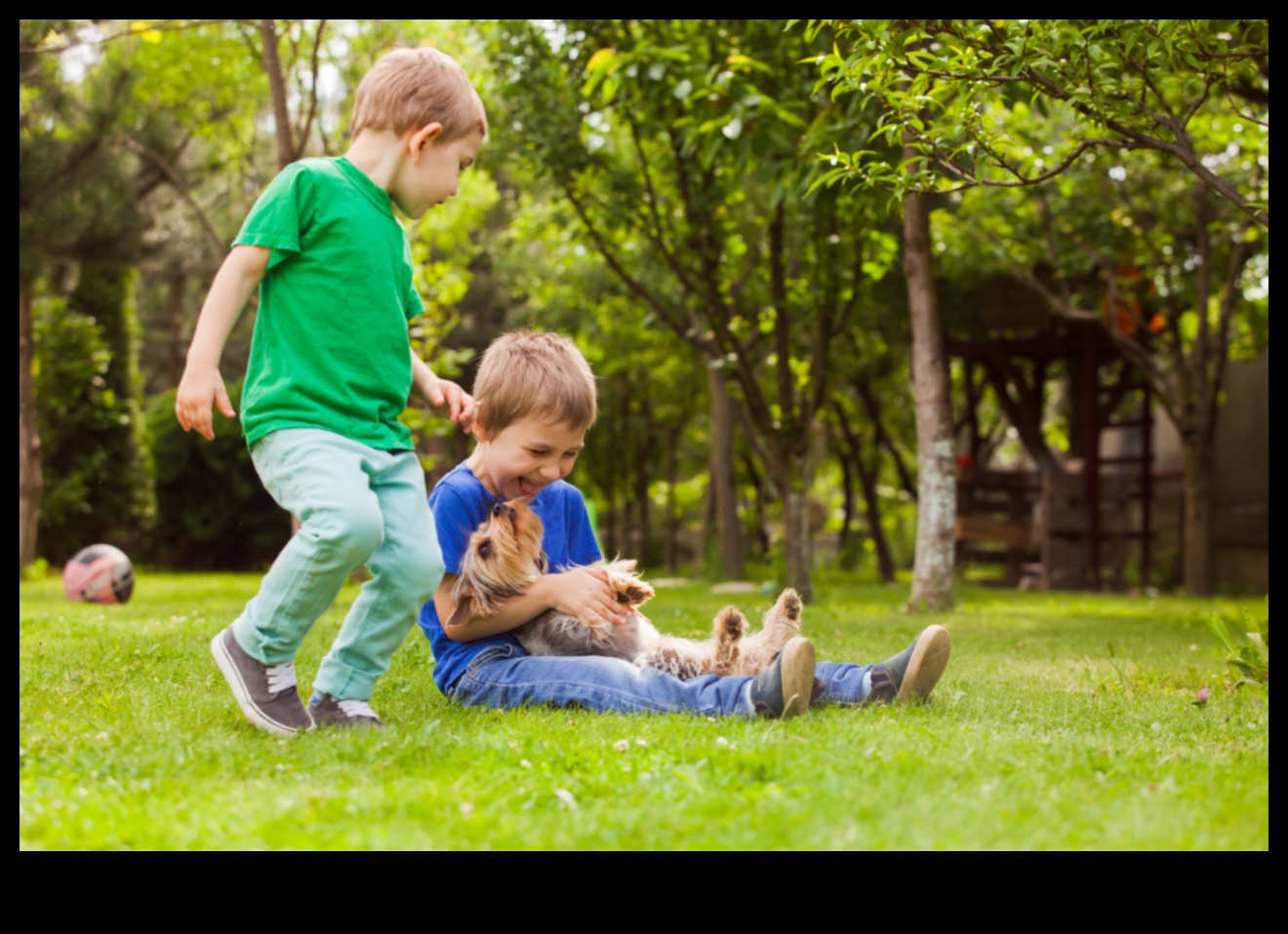 مرحة بشكل مخيف: إشراك أنشطة الحيوانات الأليفة من أجل ذيول سعيدة