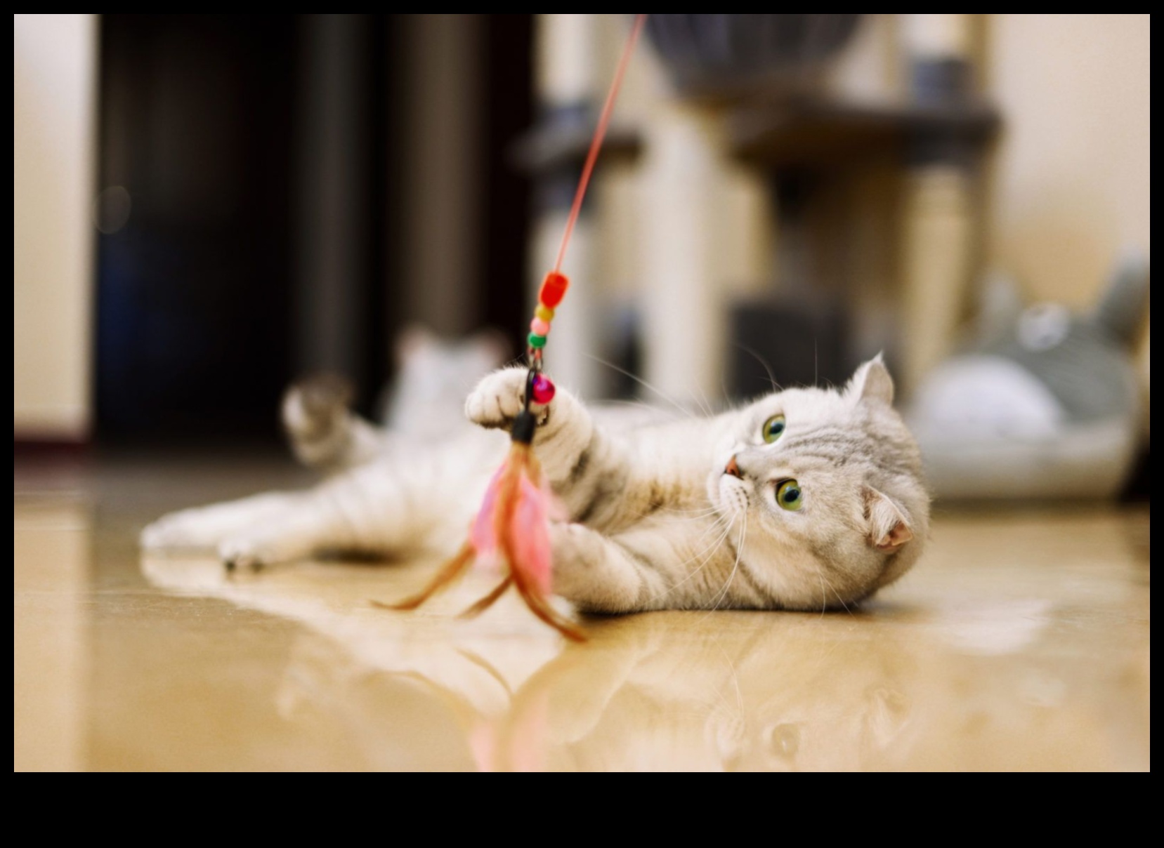 تابع ألعاب القطط التي تصنعها بنفسك: صناعة ألعاب مبتكرة للترفيه