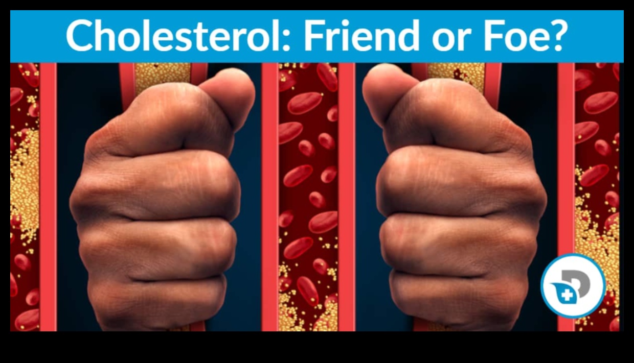 تأثير الأنظمة الغذائية منخفضة الكربوهيدرات على مستويات الكوليسترول