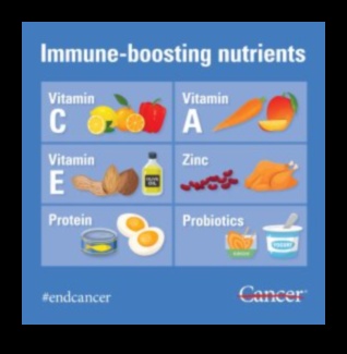 البروتين والصحة المناعية: استكشاف الاتصال الحيوي