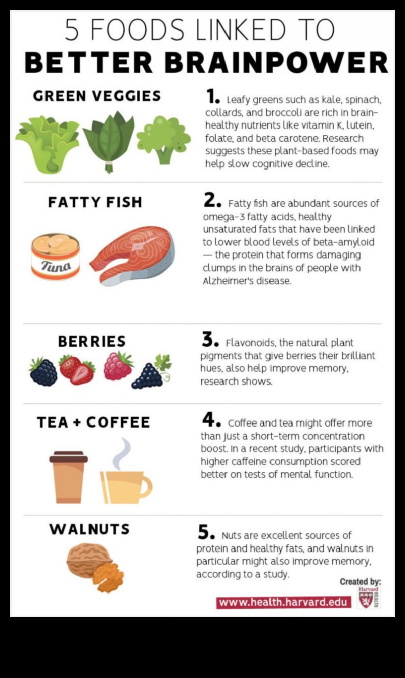 الأنظمة الغذائية الغنية بالبروتين والوضوح العقلي: منظور شمولي